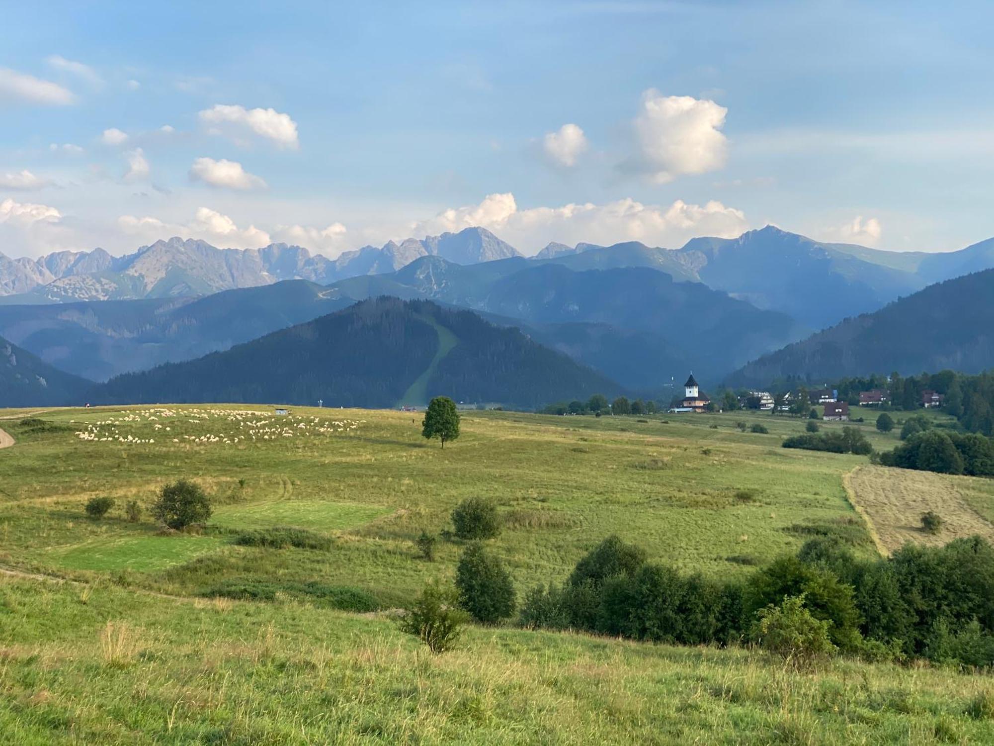 Apartament Pod Wierchem Zakopane Exteriör bild